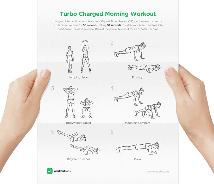 plank illustrated exercise guide workoutlabs