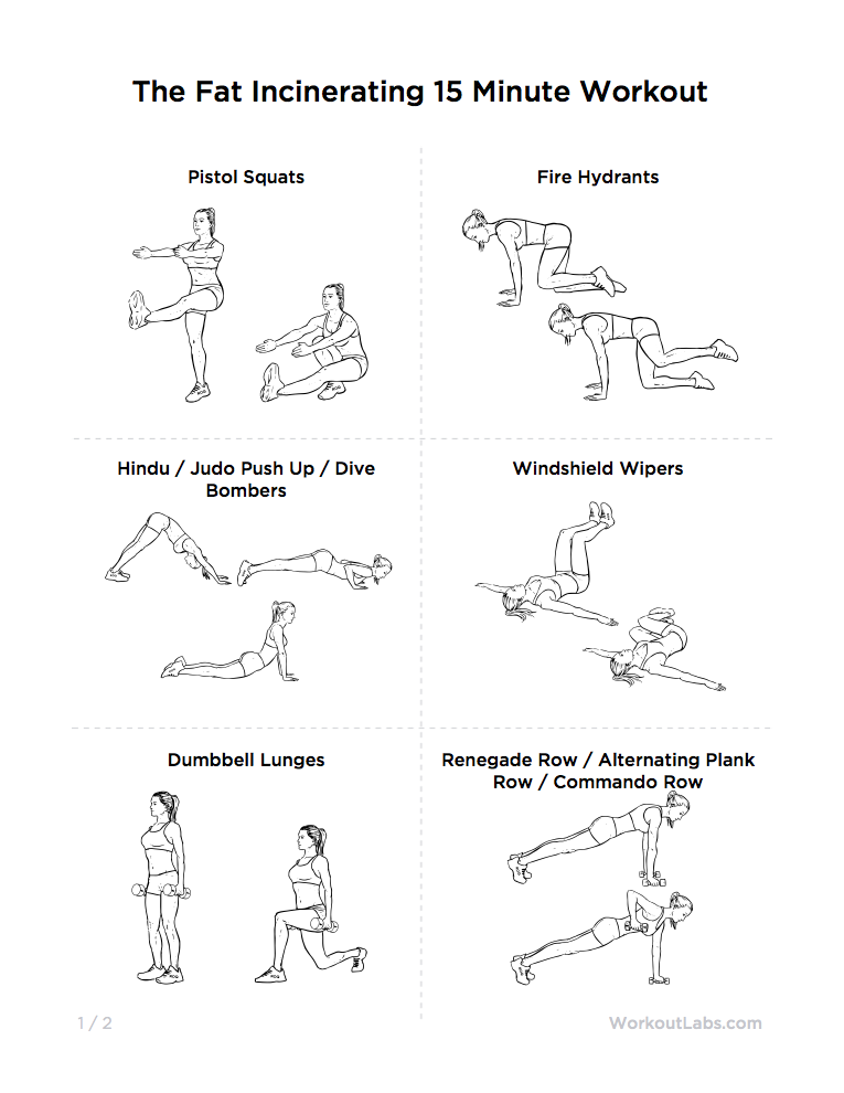 Fat Incinerating 15minute Printable Workout for Weight Loss