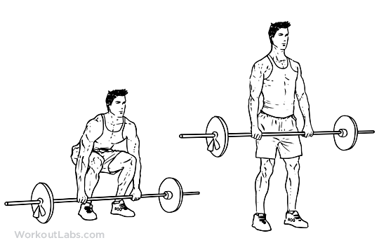 Barbell_Deadlift.png