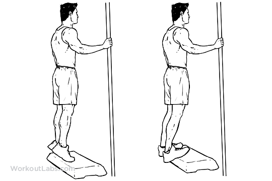 Bodyweight Calf Raises | Illustrated Exercise guide - WorkoutLabs