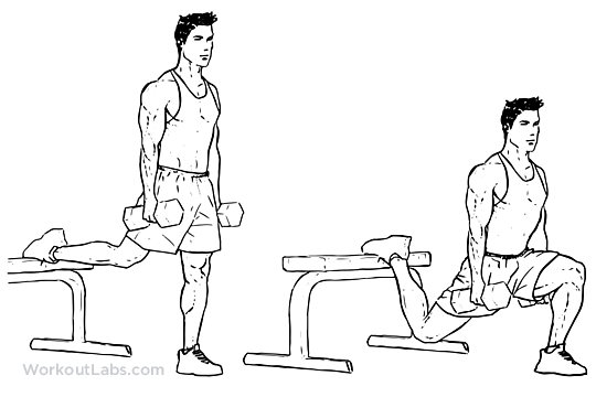 Bulgarian Split Squat | Illustrated Exercise guide - WorkoutLabs