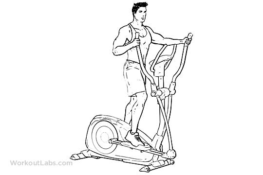 Image Result For Pull Up Image Result For Pull Up
