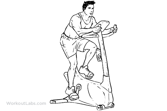 Best Rated Exercise Bikes 2017 Upright Rebent And Indoor Cycles 30 Minute Stationary Bike Interval Workout
