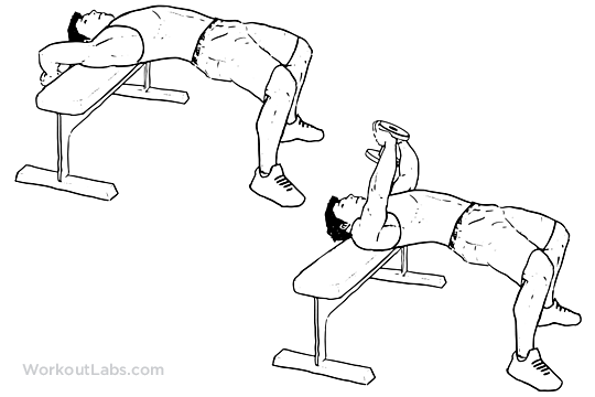 Dumbbell Pullover | Illustrated Exercise guide - WorkoutLabs