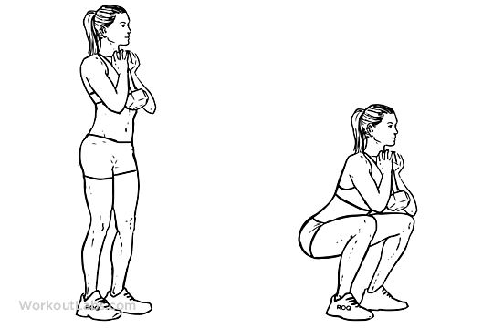 Goblet Squat | Illustrated Exercise guide - WorkoutLabs