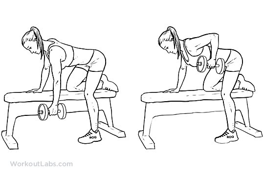 Single One Arm Dumbbell Bench Rows WorkoutLabs