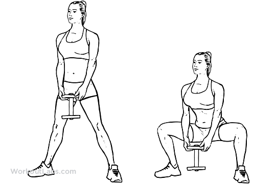 Sumo Plié Dumbbell Squat Illustrated Exercise Guide Workoutlabs