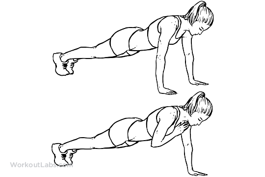 Plank Shoulder Taps Planks WorkoutLabs Plank Shoulder Taps Planks WorkoutLabs