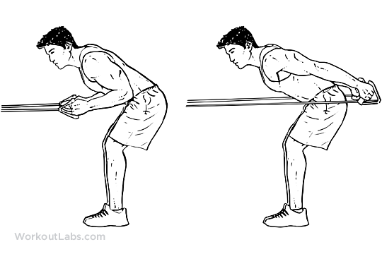 Resistance Band Tricep Kickbacks Workoutlabs Resistance Band Tricep Kickbacks
