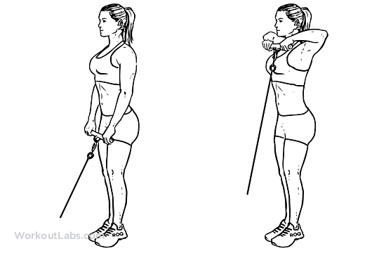 Upright cable row