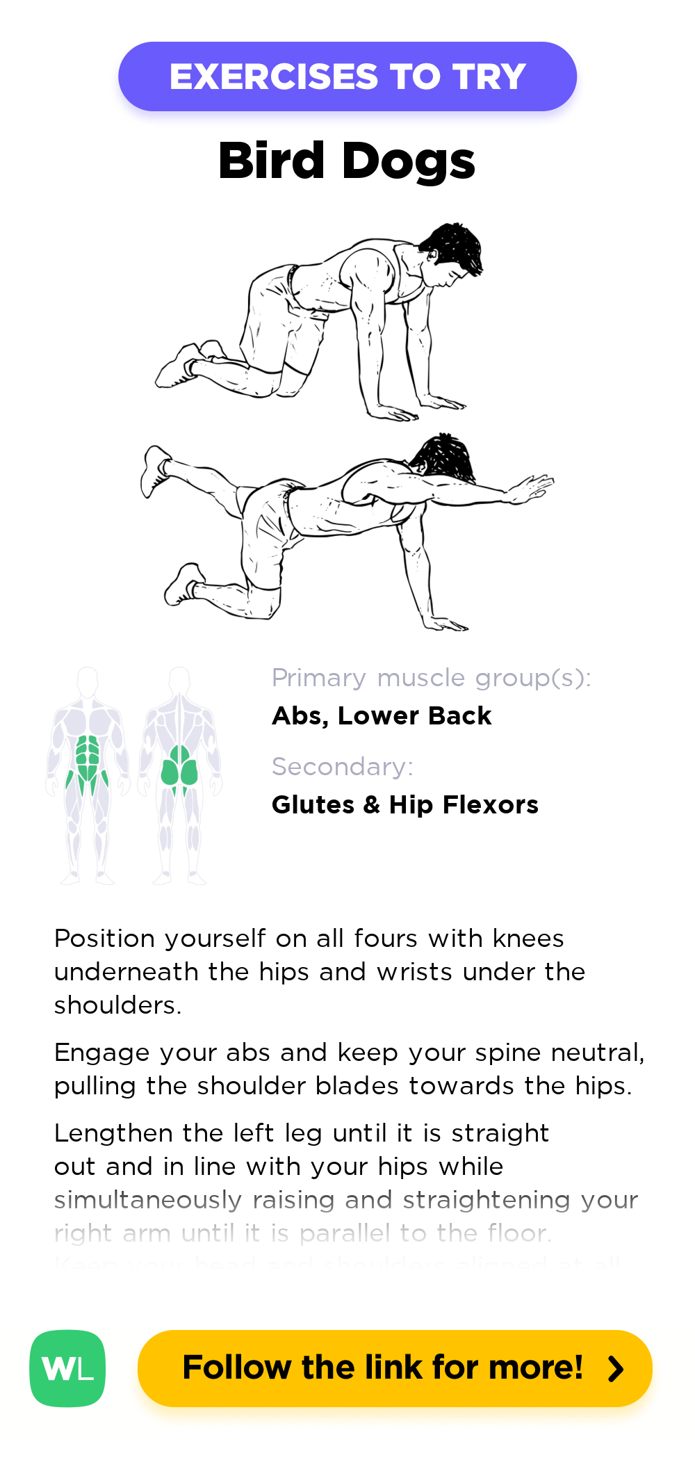 What Muscles Do Bird Dog Exercise Work