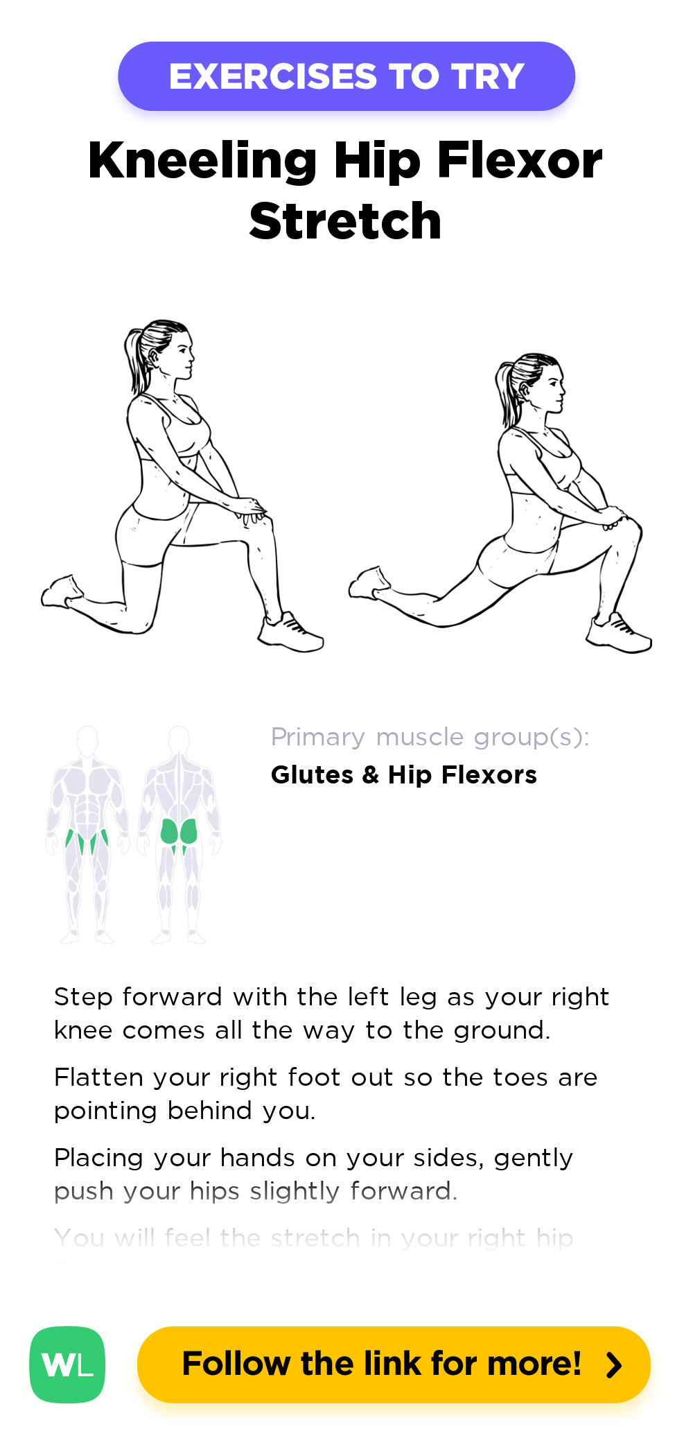Kneeling Hip Flexor Stretch WorkoutLabs Exercise Guide