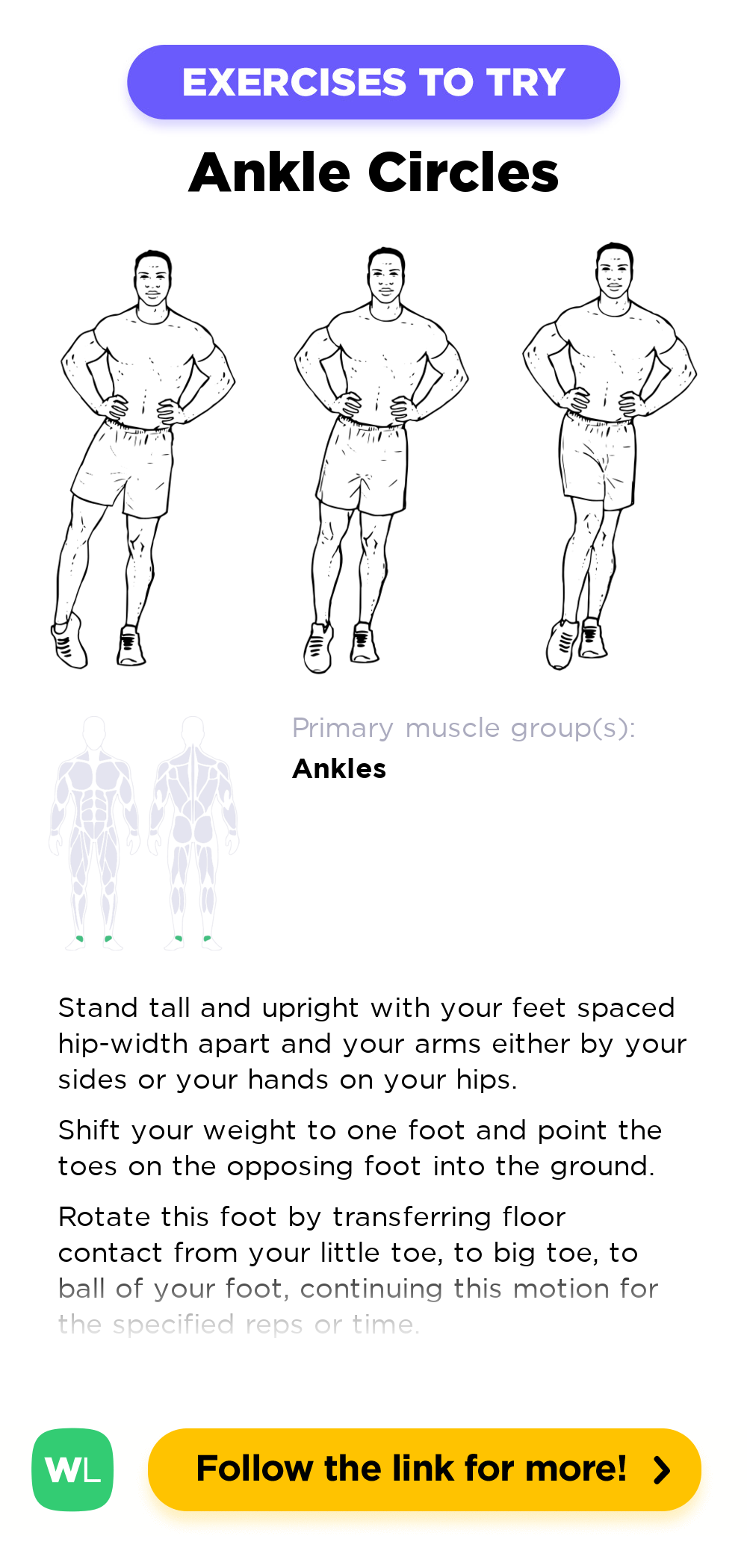 What Muscles Do Ankle Circles Work At Bambi Foust Blog