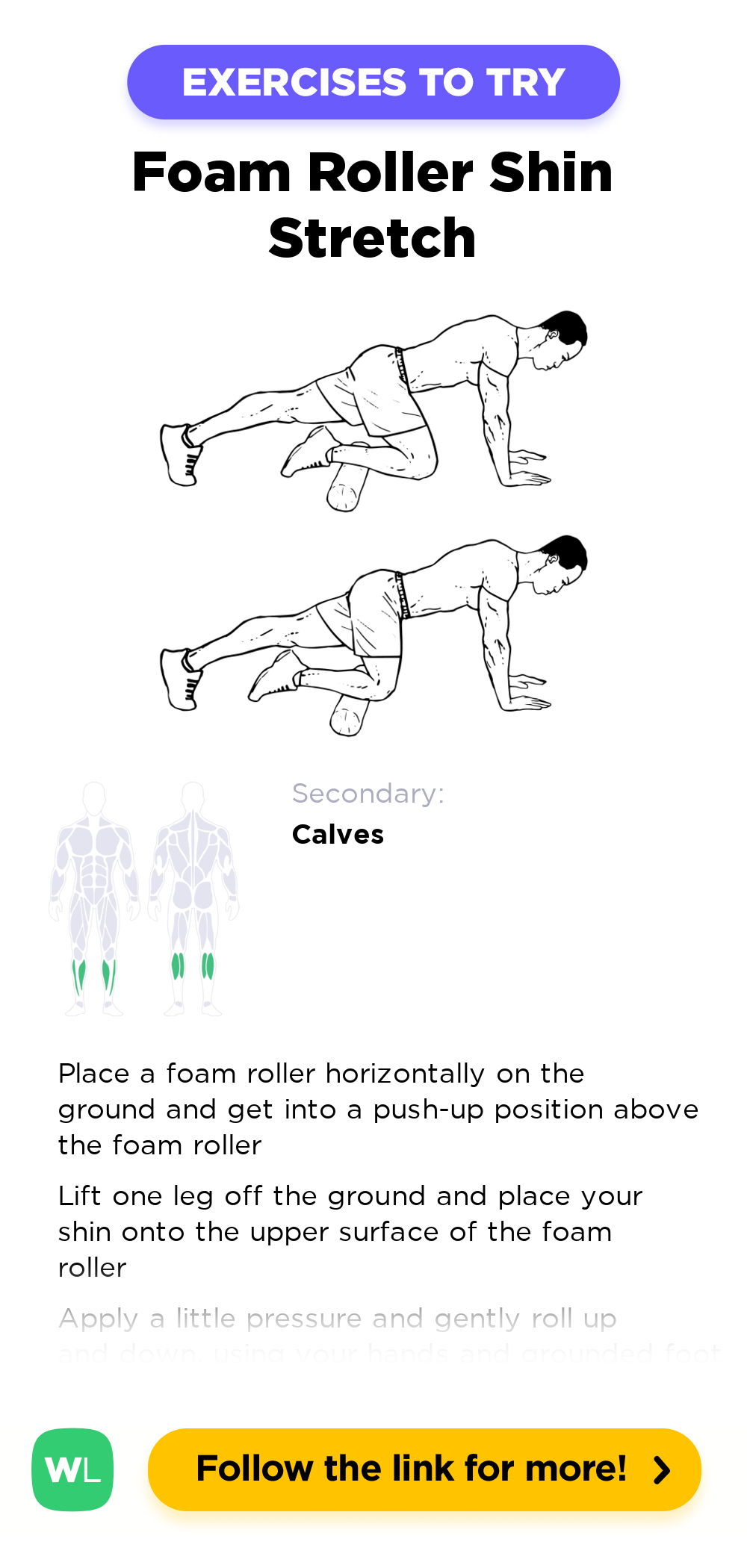 Foam roller anterior tibialis shin stretch workoutlabs exercise guide