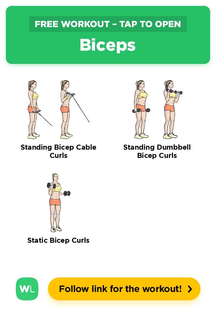 free-workout-biceps-workoutlabs-fit for Free Dumbbell Workout Chart Printable Free Workout: Biceps · WorkoutLabs Fit for Free Dumbbell Workout Chart Printable