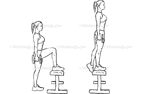 Dumbbell Step-Ups – WorkoutLabs Exercise Guide