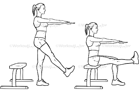 Single Leg Bench Bodyweight Squats – WorkoutLabs Exercise Guide