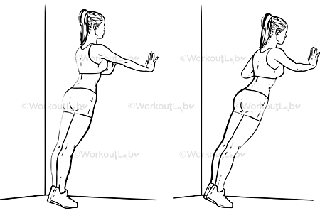 Wall Push-Ups / Pushups / Standing Press Ups – WorkoutLabs Exercise Guide