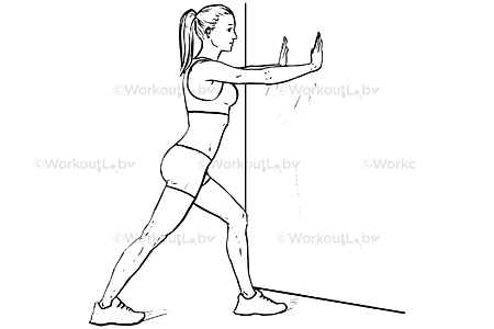 Straight-Leg Calf Stretch – WorkoutLabs Exercise Guide arm muscle diagram arms 