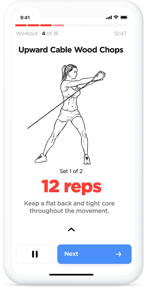 Illustrated gym workout plans and routines