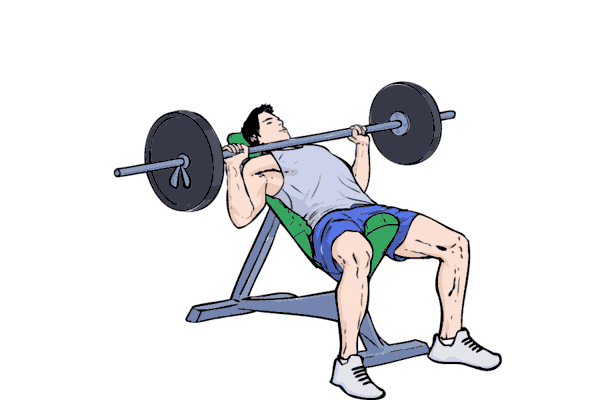 Incline Barbell Bench Chest Press · Exercise Guide | WorkoutLabs