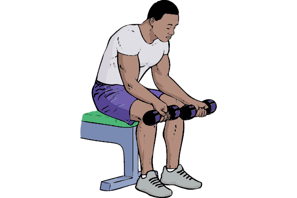 Seated Dumbbell Palm-Up Wrist Curls / Forearm Curls · Exercise Guide ...