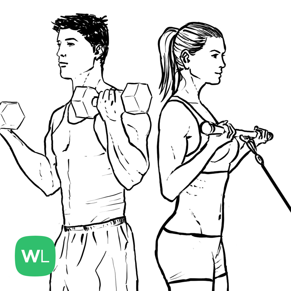 Illustrated Workout Exercise Guide WorkoutLabs