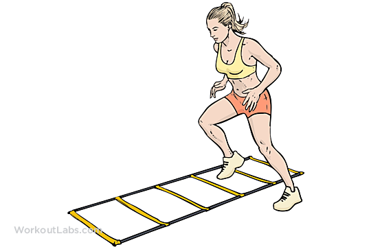 Agility Ladder Drills: Diagram, Muscles Worked & Form | WorkoutLabs