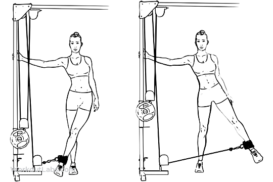 Hip Abductor Cable