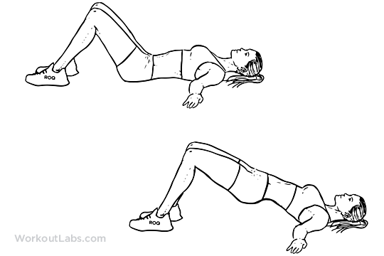 Hip Raise / Butt Lift / Bridge | Illustrated Exercise guide - WorkoutLabs