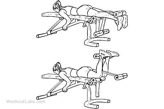 Lying Hamstring Curls  Illustrated Exercise Guide