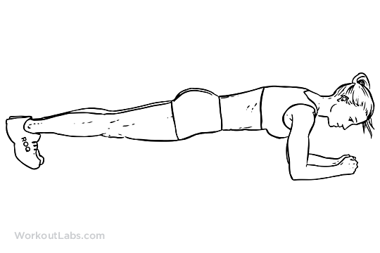 plank exercise diagram