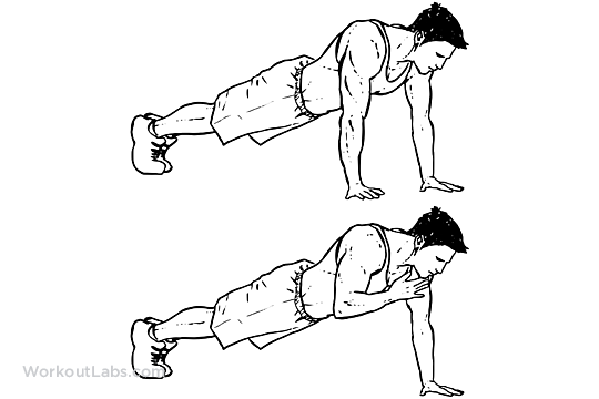 Plank Shoulder Taps Planks WorkoutLabs Plank Shoulder Taps Planks WorkoutLabs