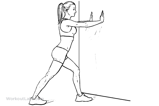 Straight-Leg Calf Stretch – WorkoutLabs Exercise Guide